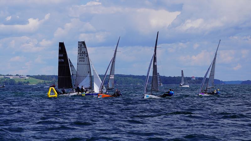 International 14 World Championship 2026 at Kingston, Canada photo copyright Dave Balfour taken at CORK and featuring the International 14 class