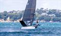 Richard Didham at the 2024 PredictWind Moth Worlds © Suellen Hurling