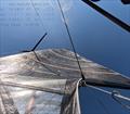 Sail data on the Moth © Richard Didham