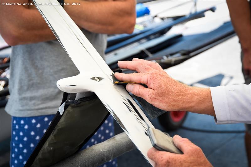 Italian Moth Series at Garda day 2 - photo © Martina Orsini