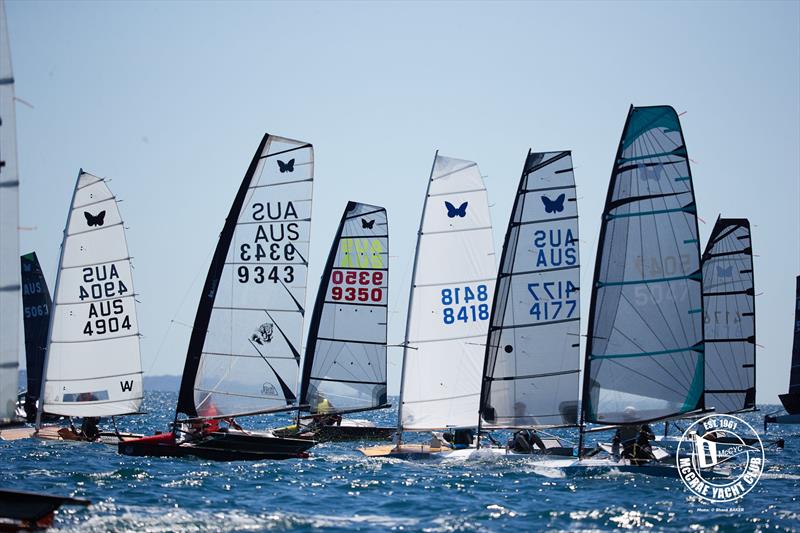 2026 Australian International Moth Open National Championships Day 1 photo copyright Shane Baker taken at McCrae Yacht Club and featuring the International Moth class