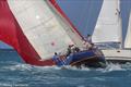 Jolly Harbour Yacht Club Valentine's Regatta © Henry Trembecki