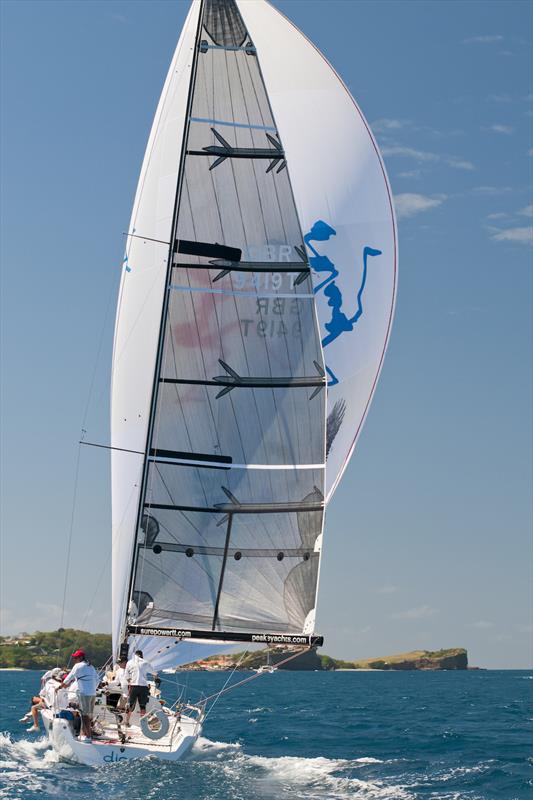 Dingo powering along the coast with spinnaker at Grenada Sailing Week photo copyright Derek Pickell / Grenada Sailing Week taken at  and featuring the IRC class