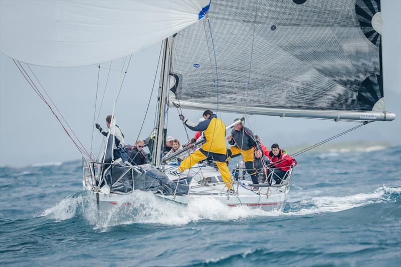 Wild Rose at Sail Port Stephens 2014 photo copyright Jon Reid / Saltwater Images taken at Corlette Point Sailing Club and featuring the IRC class