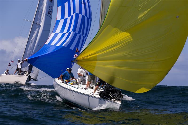 Sydney Harbour Regatta - Day 1