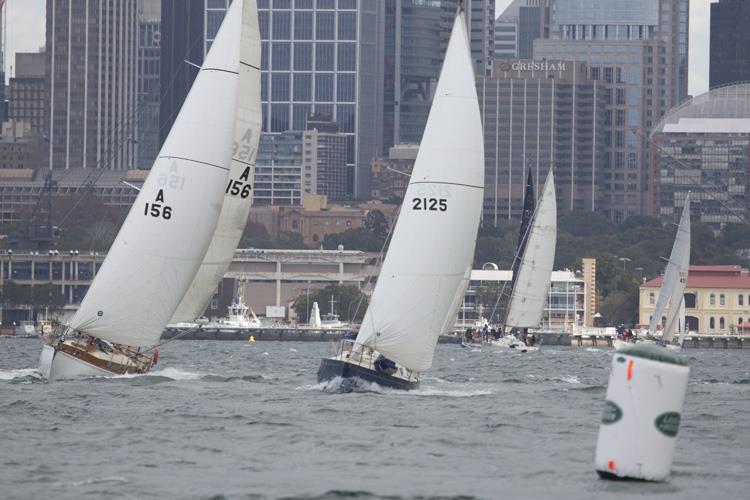 Nick Cassim's Lolita during today's Great Veteran Race photo copyright David Brogan / www.sailpix.com.au taken at Cruising Yacht Club of Australia and featuring the IRC class