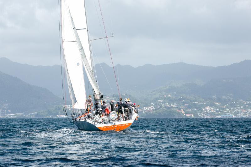 Crossing the finish line in Grenada and ready for a warm welcome at Port Louis Marina - and a cold beer! - photo © RORC / Arthur Daniel