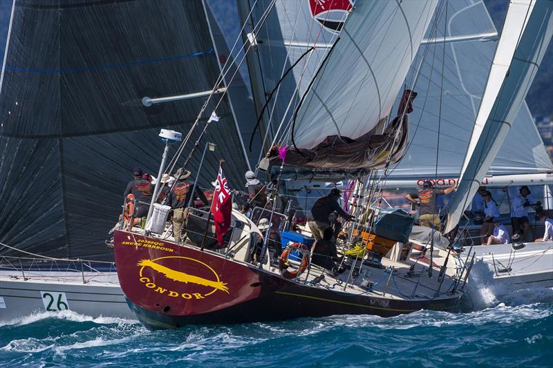 The easily recognisable Condor photo copyright Andrea Francolini taken at Whitsunday Sailing Club and featuring the IRC class