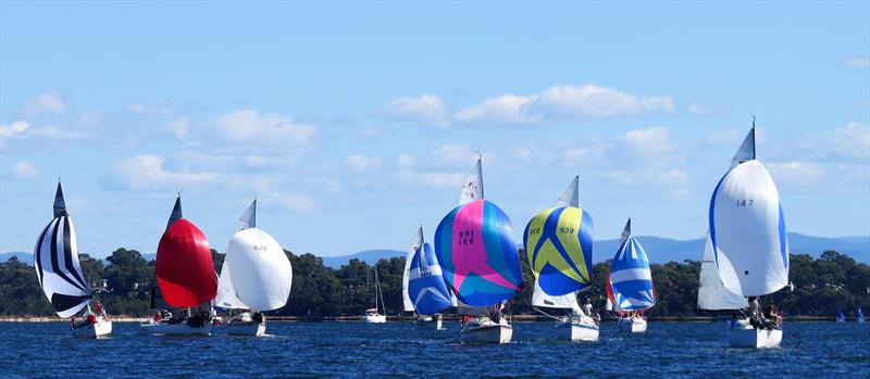 Gippsland Lakes trailable fleet at the Festival of Sails photo copyright Christie Arras taken at Royal Geelong Yacht Club and featuring the IRC class