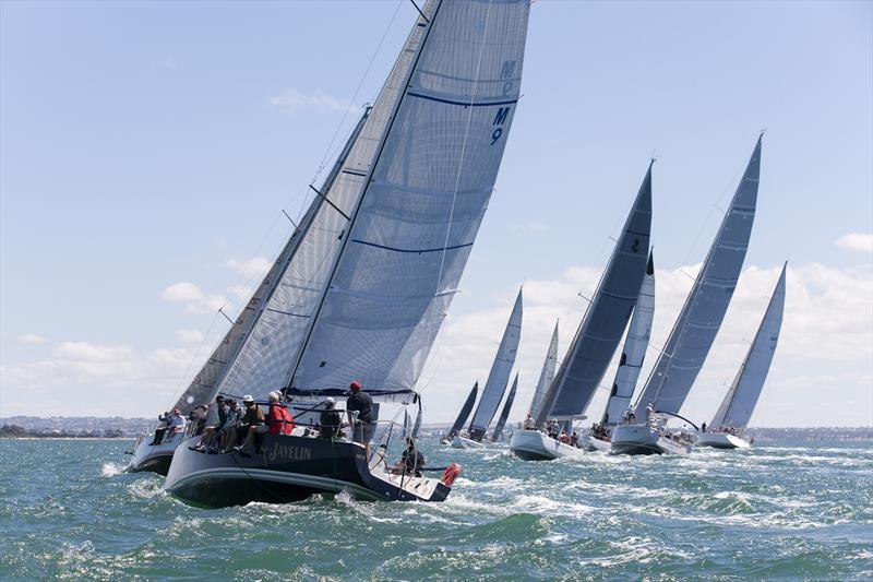 Coming to the finish line of the Melbourne to Geelong Passage Race photo copyright Steb Fisher taken at Royal Geelong Yacht Club and featuring the IRC class