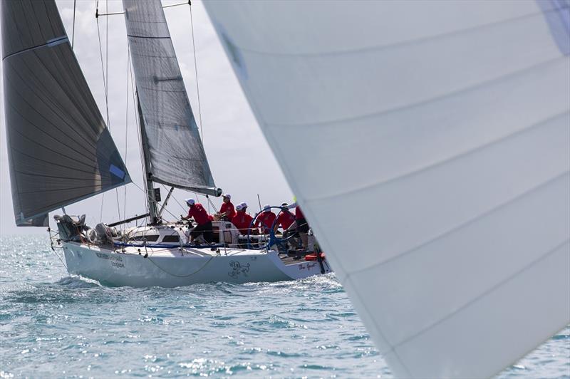 The Goat on day 1 of Airlie Beach Race Week 2017 photo copyright Andrea Francolin taken at Whitsunday Sailing Club and featuring the IRC class