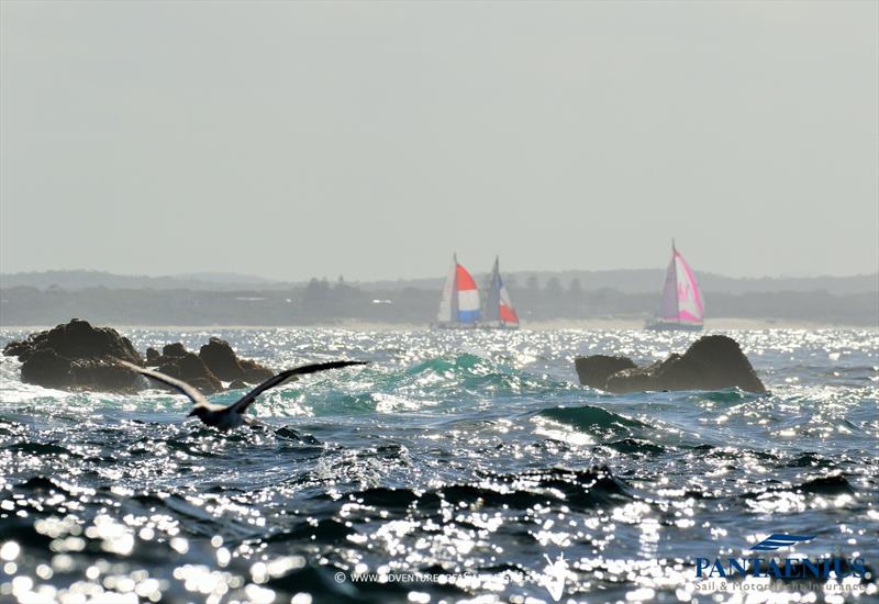 Sail Port Stephens - Day 2 photo copyright Nic Douglass / www.AdventuresofaSailorGirl.com taken at Corlette Point Sailing Club and featuring the IRC class