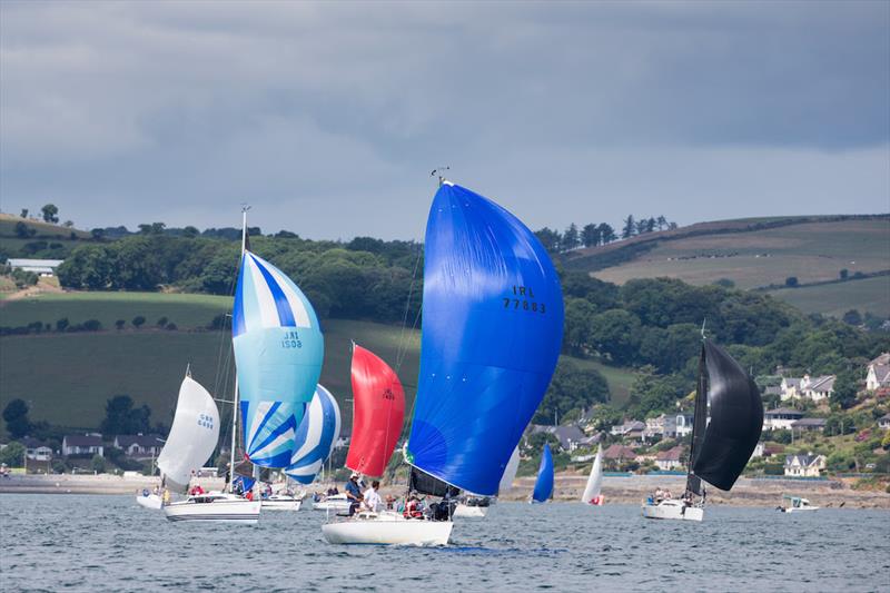 Kieran Collins Olson 30 Coracle IV (Royal Cork YC) leads the fleet under spinnaker on day 1 of Volvo Cork Week - photo © David Branigan / Oceansport