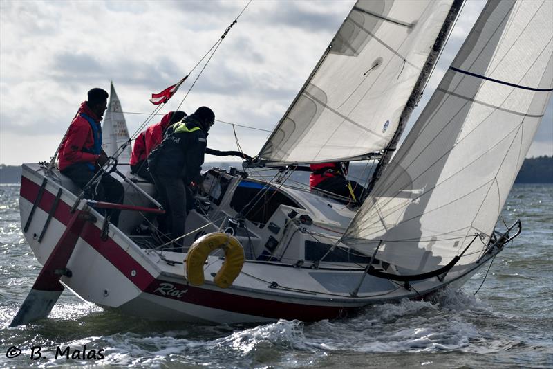 Riot during HYS Hamble Winter Series Race Week 4 - photo © Bertrand Malas