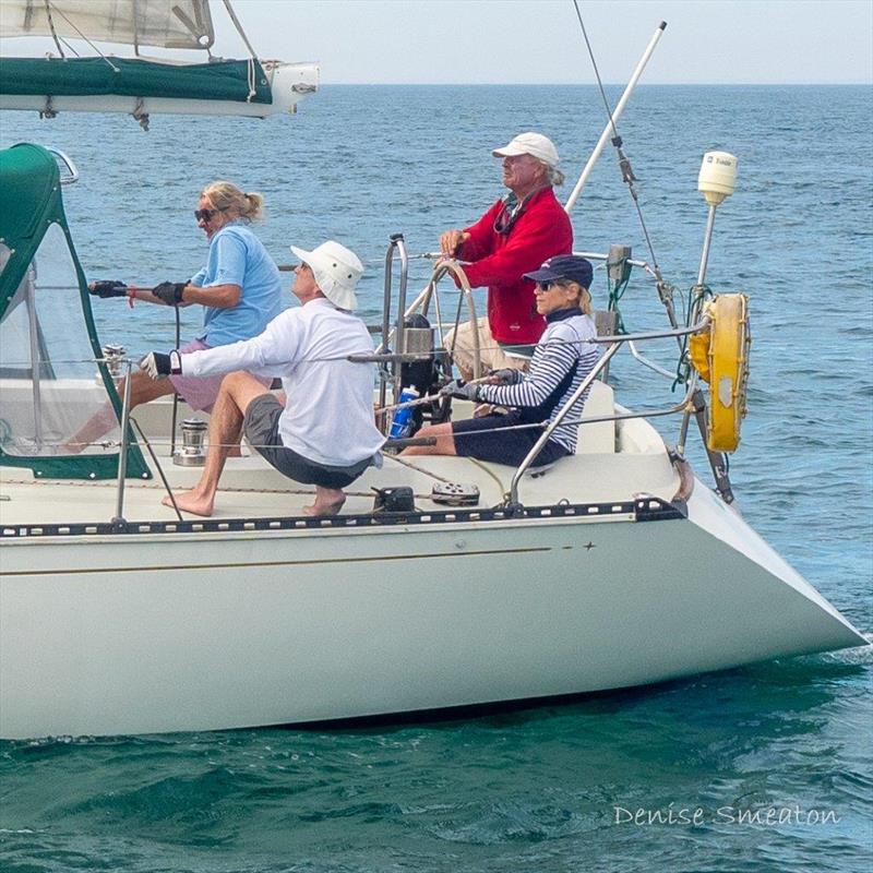 Focussed crew onboard Dreamcatcher - Queenscliff Cup and Commodore's Trophy Easter Regatta photo copyright D. Smeaton taken at Queenscliff Cruising Yacht Club and featuring the IRC class