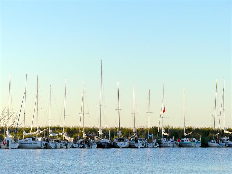 Boats in Reeds ready for Milang-Goolwa Race - Goolwa Regatta Week - photo © Mike O'Reilly