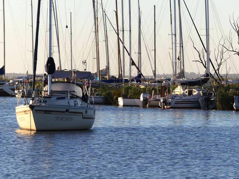 Milang reeds serenity - Goolwa Regatta Week - photo © Mike O'Reilly