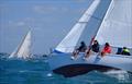 Timber Boat Festival at Moreton Bay © Mitchell Pearson / SurfSailKite