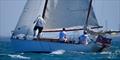 Timber Boat Festival at Moreton Bay © Mitchell Pearson / SurfSailKite