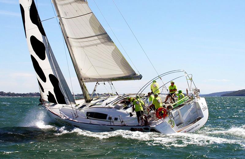 Sail Port Stephens - Holy Cow photo copyright Mark Rothfield taken at Corlette Point Sailing Club and featuring the IRC class