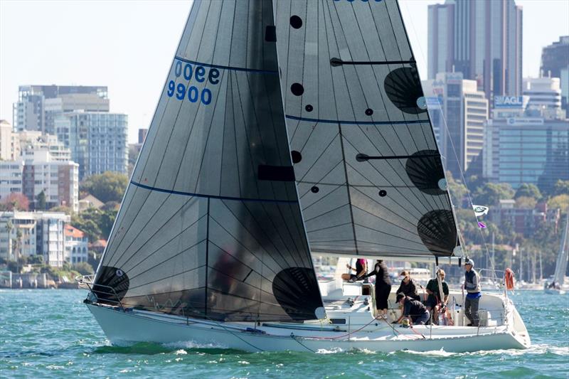 Superfine on Sydney Harbour - photo © Photo Supplied