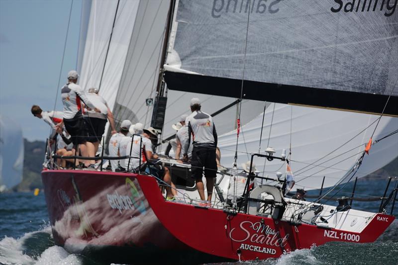 Miss Scarlet under spinnaker - SeaLink Magnetic Island Race Week 2017 photo copyright Will Calver taken at Townsville Yacht Club and featuring the IRC class