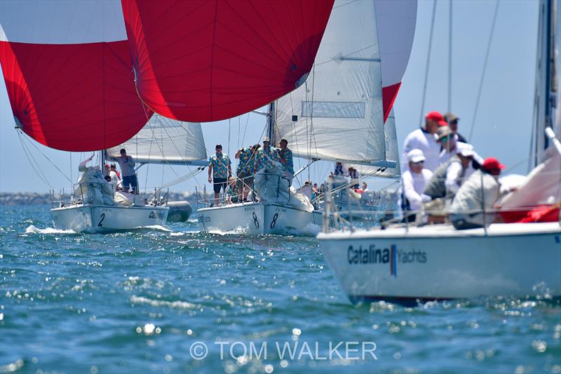 2018 Ullman Sails Long Beach Race Week - Day 3 - photo © Tom Walker