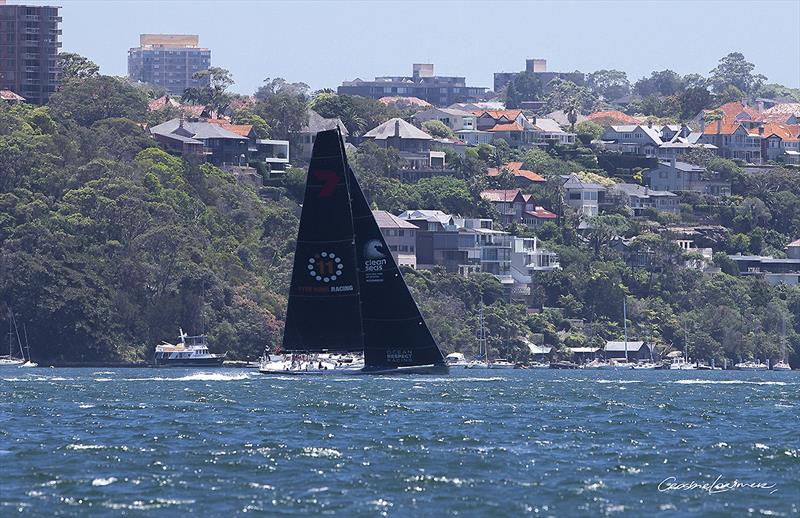 Wild Oats X (Stacey Jackson's Ocean Respect Racing) heading down the Harbour on a training run photo copyright Crosbie Lorimer taken at Cruising Yacht Club of Australia and featuring the IRC class