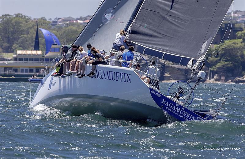 Brenton Fischer's TP52 Ragamuffin out training on Sydney Harbour photo copyright Crosbie Lorimer taken at Cruising Yacht Club of Australia and featuring the IRC class