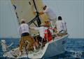 © Mitchell Pearson / SurfSailKite 2019 Bartercard Sail Paradise Regatta, Day 4 © Mitchell Pearson / SurfSailKite