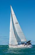 2019 Quicksilver Port Douglas Race Week © Chris Hunt