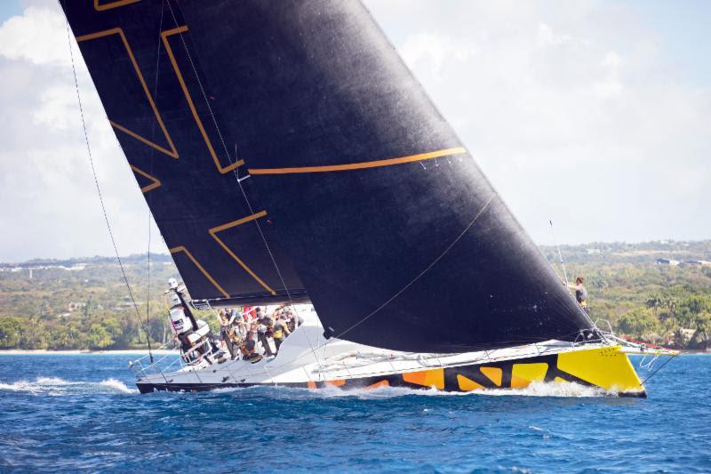 From Lithuania, Simonas Steponavicius' new VO65 Ambersail 2 will ensure the competition are kept on their toes  at the 52nd Antigua Sailing Week photo copyright Peter Marshall taken at Antigua Yacht Club and featuring the IRC class
