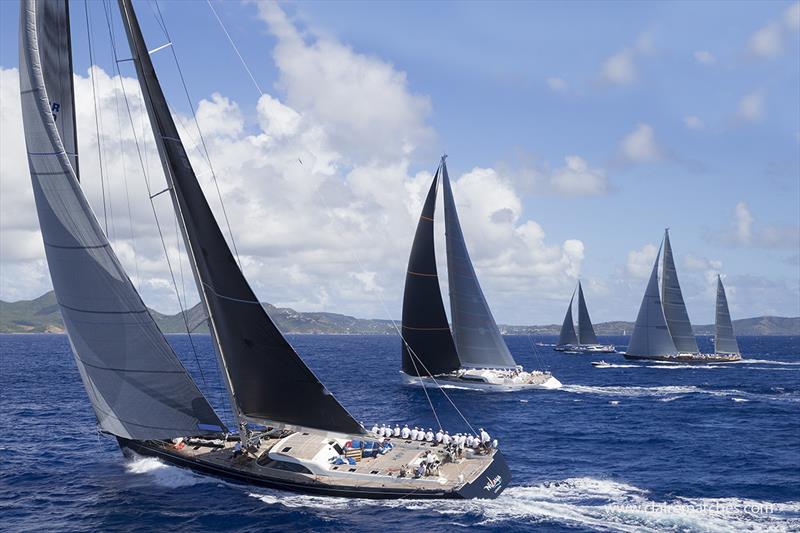 Magnificent fleet at the Superyacht Challenge Antigua - 2019 Superyacht Challenge Antigua - photo © Claire Matches / www.clairematches.com