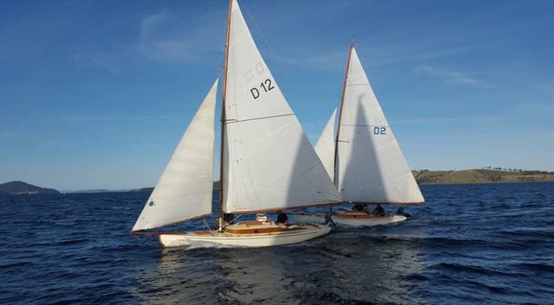 Australian Wooden Boat Festival - photo © Ollie McKay