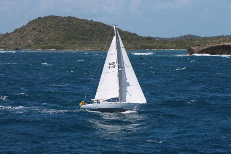 Smallest yacht in the race - Two Handed Johannes Gerssen's Olson 35 Cabbyl Vane (NED) - RORC Caribbean 600, Day 2 photo copyright Tim Wright / www.photoaction.com taken at Royal Ocean Racing Club and featuring the IRC class