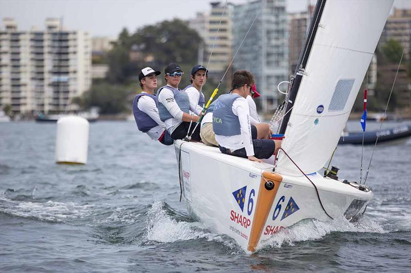 Finn Tapper and his CYCA team in action - National Sailing League - photo © CYCA Media - Hamish Hardy