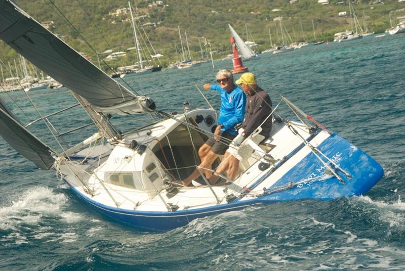 Geoffrey Pidduck's 1989 Six Metre Biwi Magic - Antigua Classic Yacht Regatta 2019 - photo © Ed Gifford