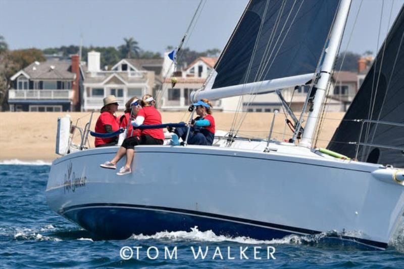 Newport to Ensenada International Yacht Race 2019 photo copyright Tom Walker taken at  and featuring the IRC class