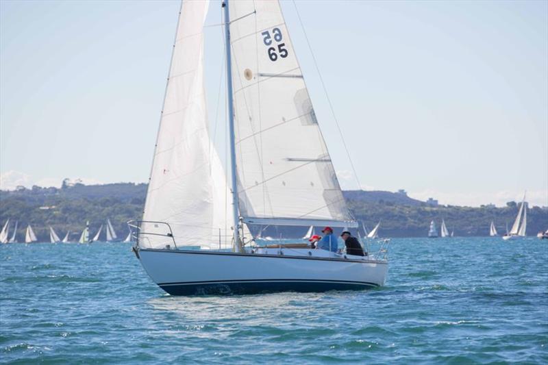 2019 Great Veterans Race - Caprice of Huon photo copyright Hamish Hardy taken at Cruising Yacht Club of Australia and featuring the IRC class