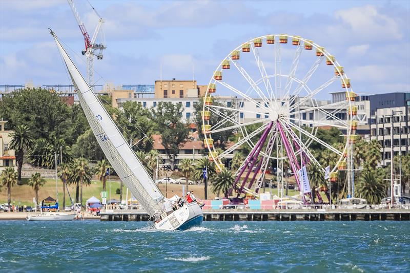 Festival of Sails - photo © Salty Dingo