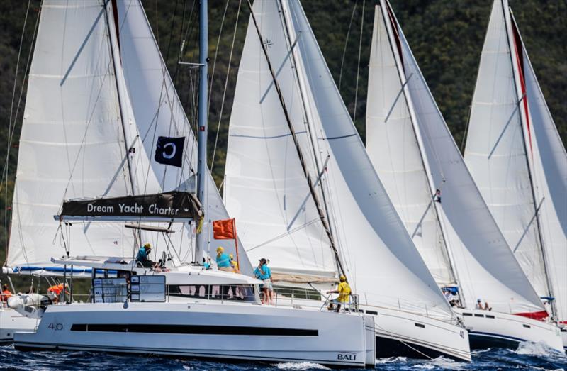 The Dream Yacht Charter committee boat at the race starts during ASW 2019 photo copyright Paul Wyeth / pwpictures.com taken at Antigua Yacht Club and featuring the IRC class