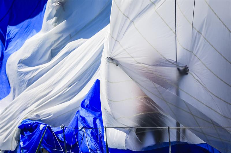 Hamilton Island Race Week - Day 2 - August 19, 2019 photo copyright Craig Greenhill / Saltwater Images taken at Hamilton Island Yacht Club and featuring the IRC class