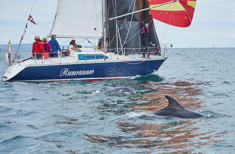 Rumrunner dolphins in the Why Boats Weymouth Regatta - photo © Louis Goldman / www.louisgoldmanphotography.com