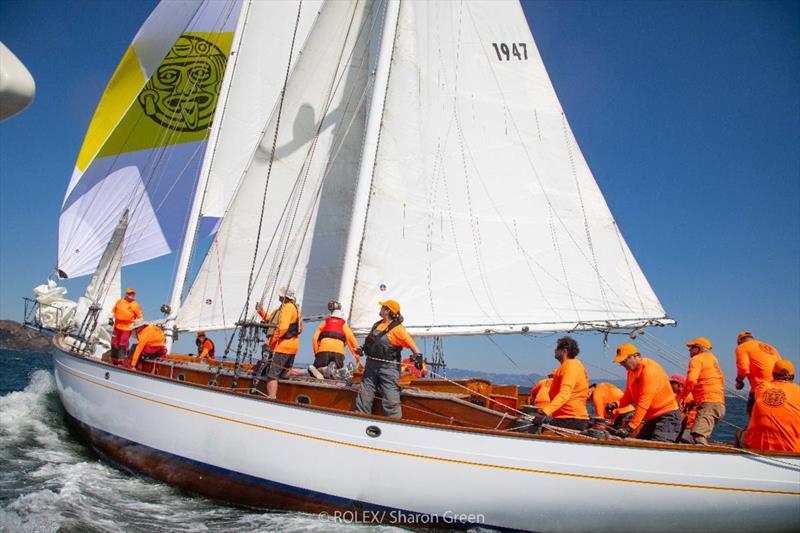 Mayan's crew dialing their downwind set - 2019 Rolex Big Boat Series photo copyright Rolex / Sharon Green taken at St. Francis Yacht Club and featuring the IRC class