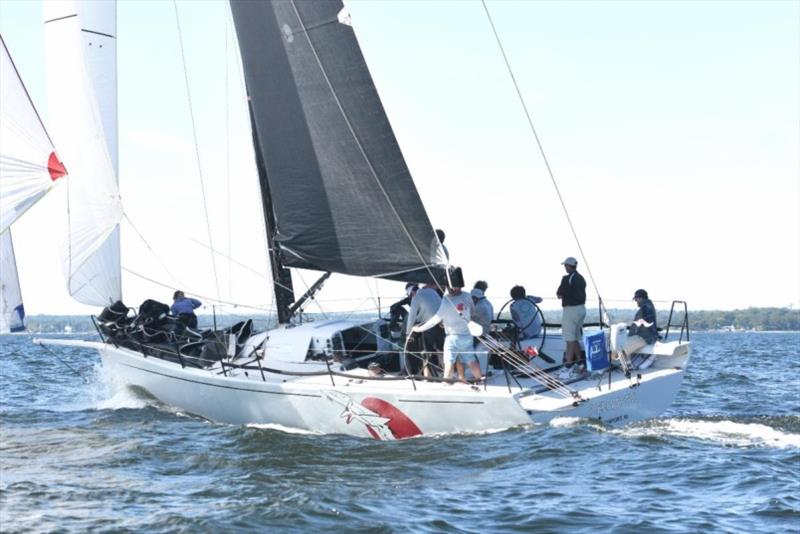 2019 Fall Regatta photo copyright American Yacht Clu taken at  and featuring the IRC class