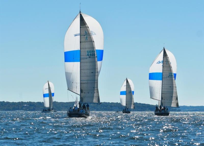 2019 Fall Regatta photo copyright American Yacht Clu taken at  and featuring the IRC class