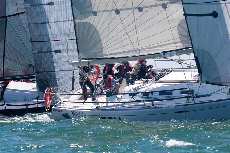 Storm R1318 competing in Div B last year - Lipton Cup Regatta photo copyright Harry Fisher taken at Royal Yacht Club of Victoria and featuring the IRC class