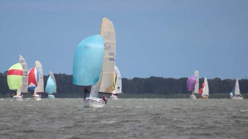 RL24 fleet photo copyright Darryn Dyer taken at Illawarra Yacht Club and featuring the IRC class