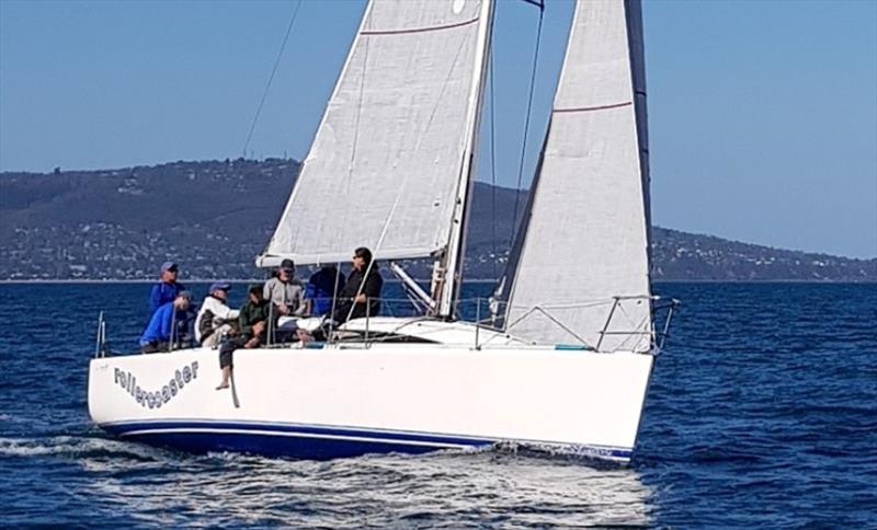 John Taylor's Sydney 32 Rollercoaster will be one of the competitors in the Lipton Cup - photo © Harry Fisher