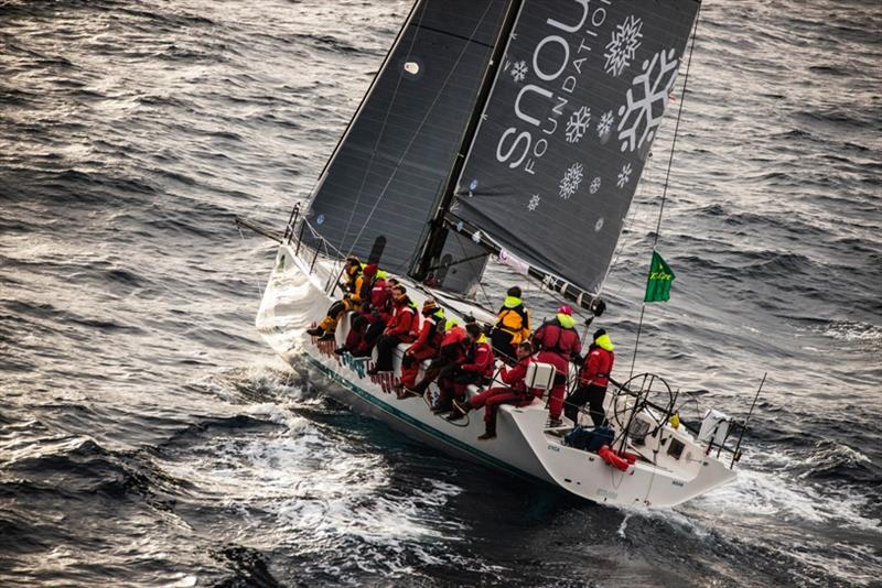 The crew onboard Snowdome Occasional Coarse Language Too are competing in the 75th Sydney to Hobart Yacht Race photo copyright Carlo Borlenghi taken at  and featuring the IRC class